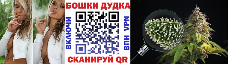 Бошки Шишки семена  hydra онион  Новоаннинский 